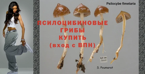 стаф Волоколамск