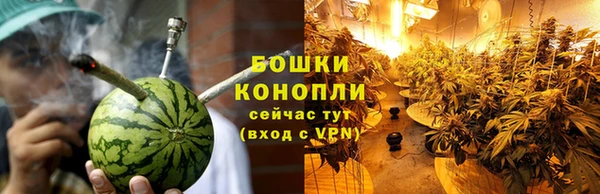 стаф Волоколамск