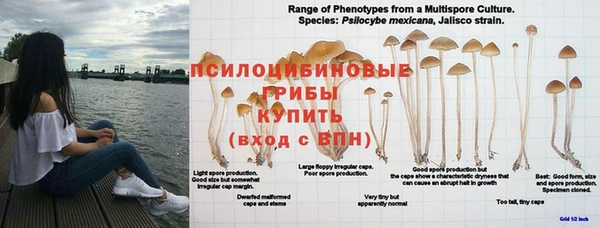 дмт Волосово