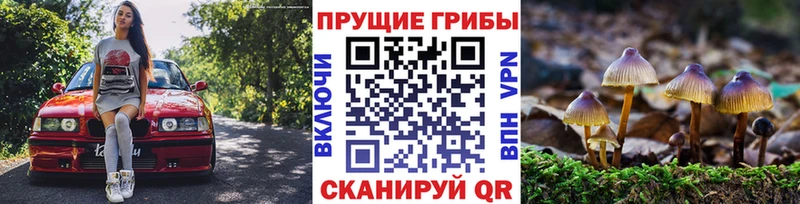Галлюциногенные грибы мицелий  ссылка на мегу зеркало  Злынка  купить  цена 